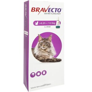 bravecto-gatos-spot-on-desde-625-kgs