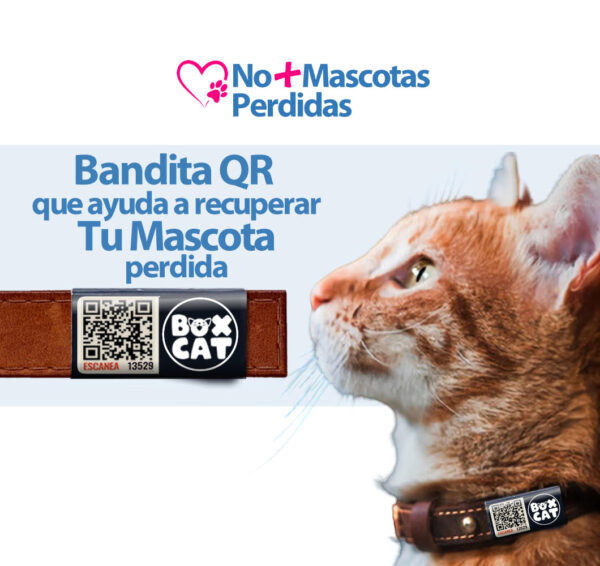 Bandita QR Para Gato - Perro TengoQR Pets